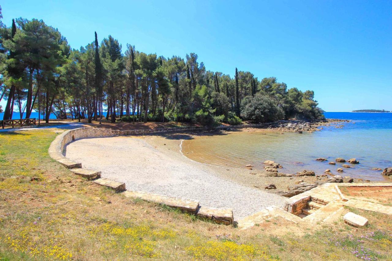 Vila Vanesa With Private Pool Near Rovinj - Open 2022 Rovinjsko Selo Exterior foto