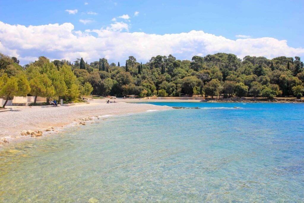Vila Vanesa With Private Pool Near Rovinj - Open 2022 Rovinjsko Selo Exterior foto